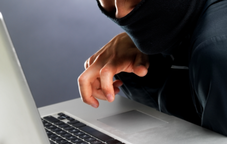 firearms expert witness greenwich ct